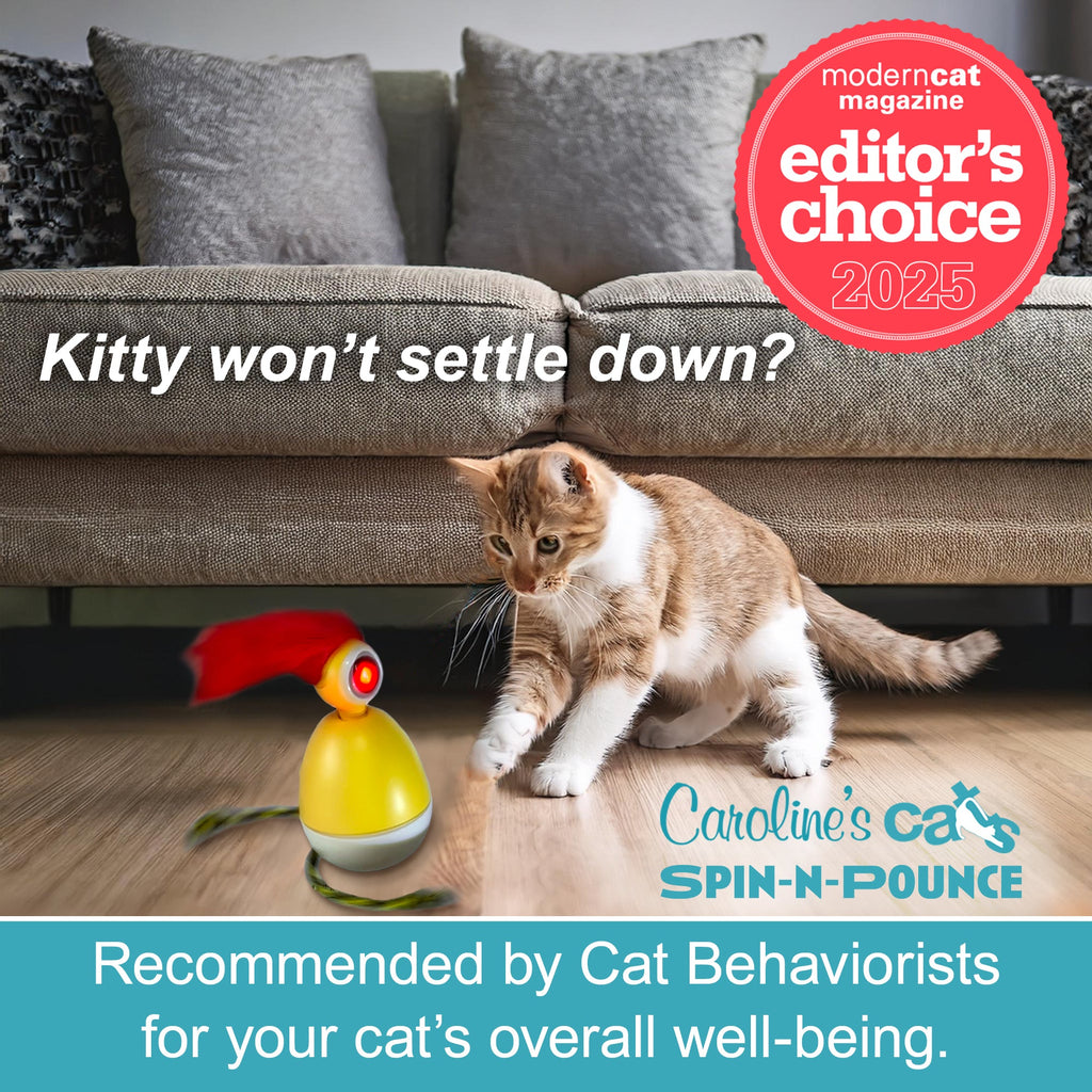 Caroline's Cats Spin-N-Pounce Rechargeable Automatic Interactive Indoor Dancing Cat Toy; Touch Sensor & Auto Shut Off, 360° Rotation, Silent Motor, LED Light, Simulates Prey for Hunting & Exercise