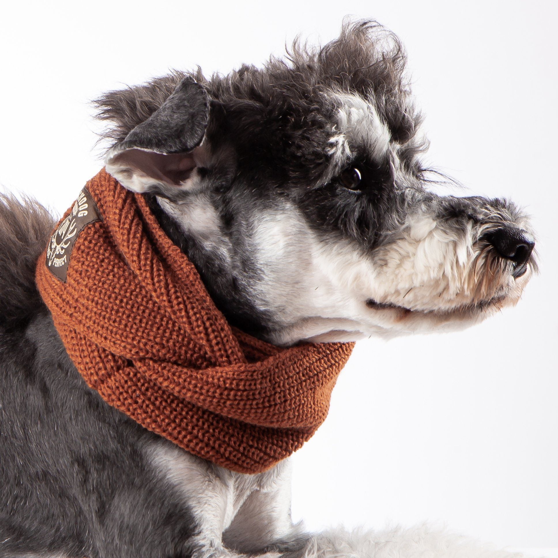 Touchdog Heavy Knitted Designer Fashion Winter Dog Scarf