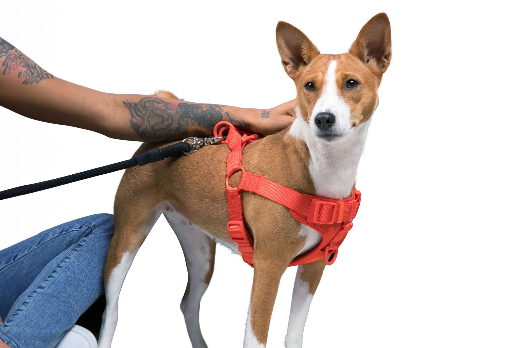 Step In Dog Harness