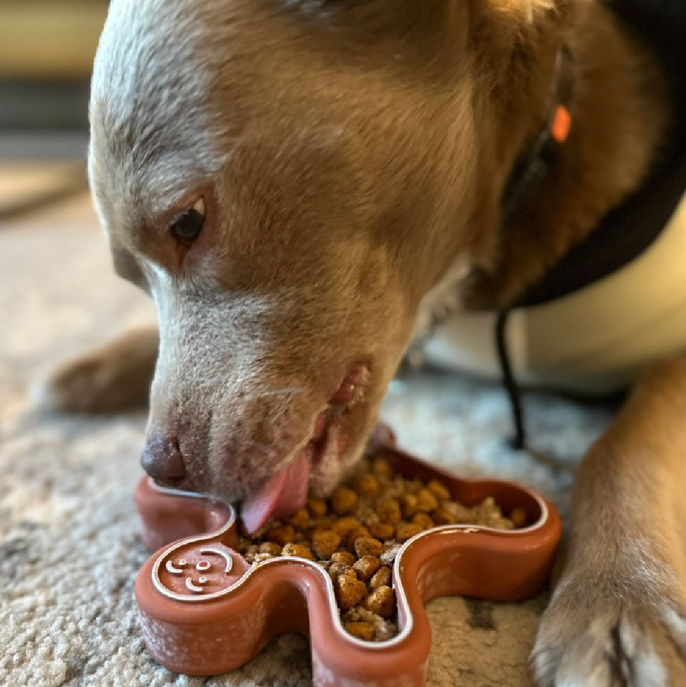 FreezGingerbread - Enrichment Chew Toy