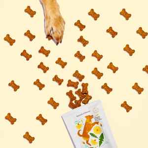 Inner Glow | Digestive Plant-Based Dog Treats with Pumpkin & Ginger